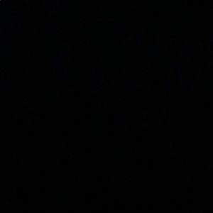 Meet your Posher, Hayden